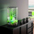 biOrb Tube MCR Aquarium biOrb Tube MCR Aquarium