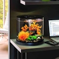 biOrb Tube LED Aquarium biOrb Tube LED Aquarium
