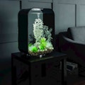 biOrb Life LED Aquarium biOrb Life LED Aquarium