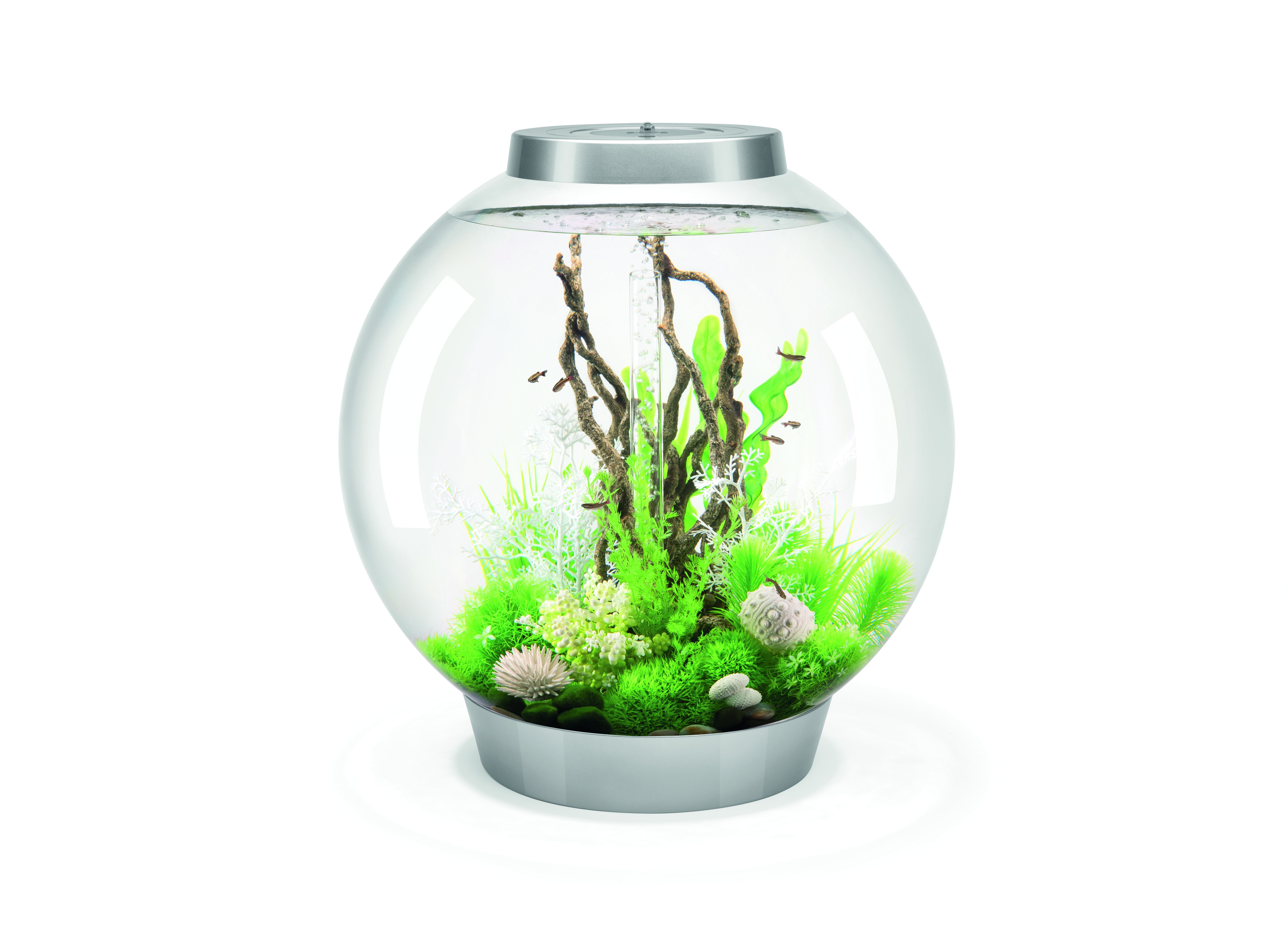 Aquarien und Terrarien