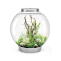Aquarien und Terrarien Aquarien und Terrarien