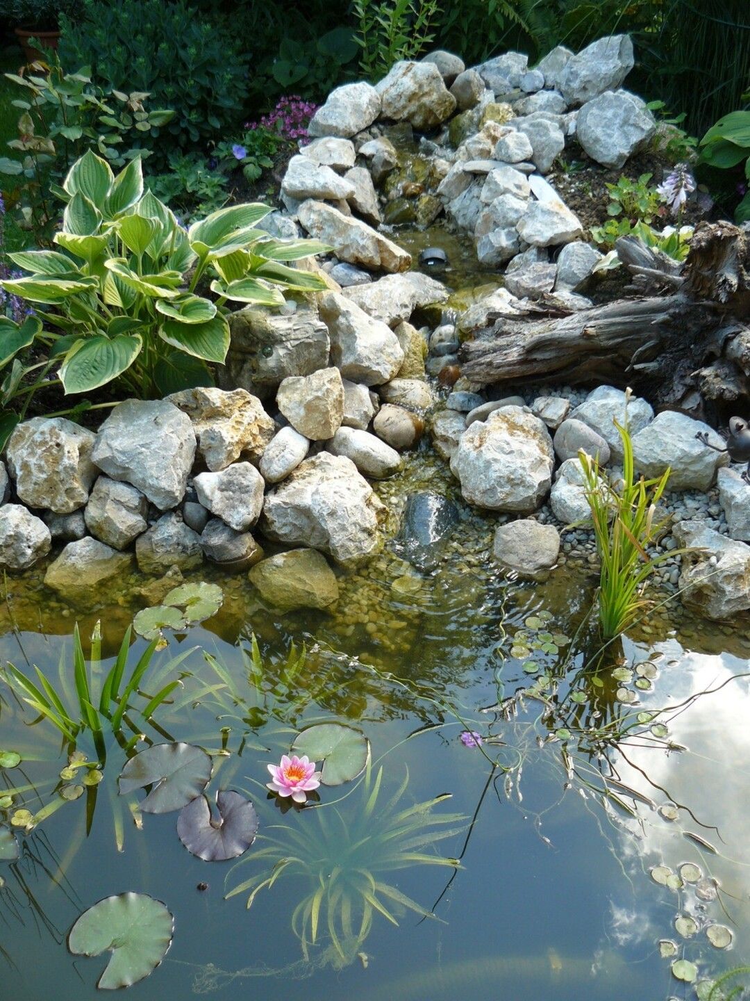 Bepflanzter Gartenteich mit Bachlauf von oben fotografiert