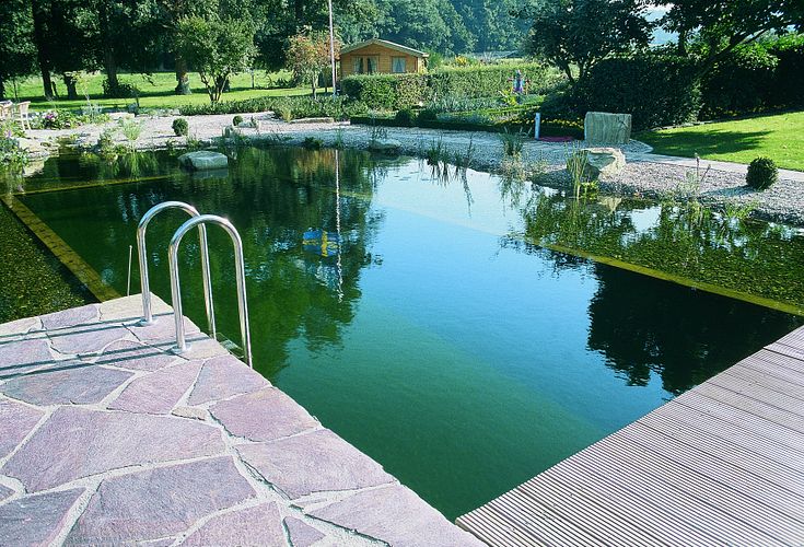 Schritt für Schritt zum Schwimmteich