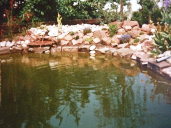 Teich