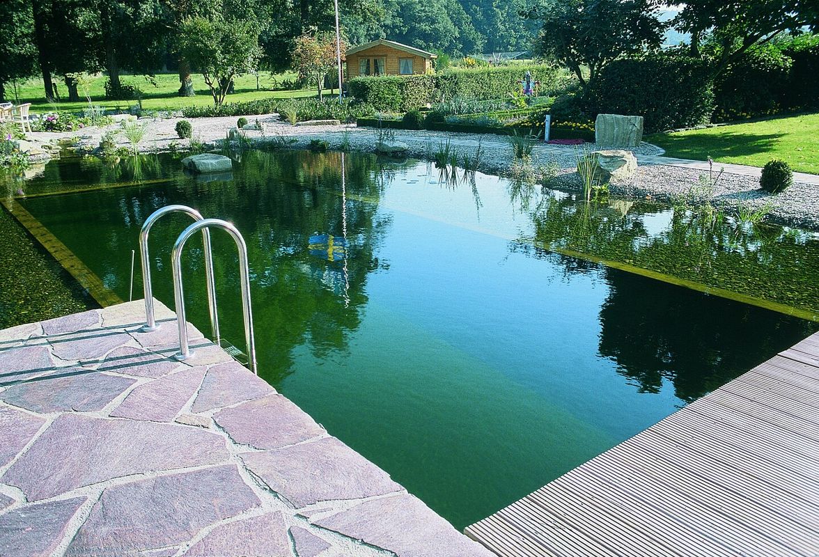 Schwimmteich
