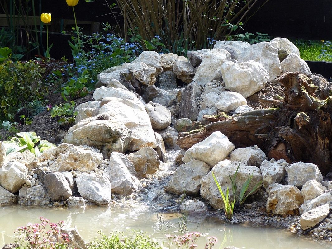 Bachlauf in helle Steine gebettet mündet neben einer Wurzel in den Teich