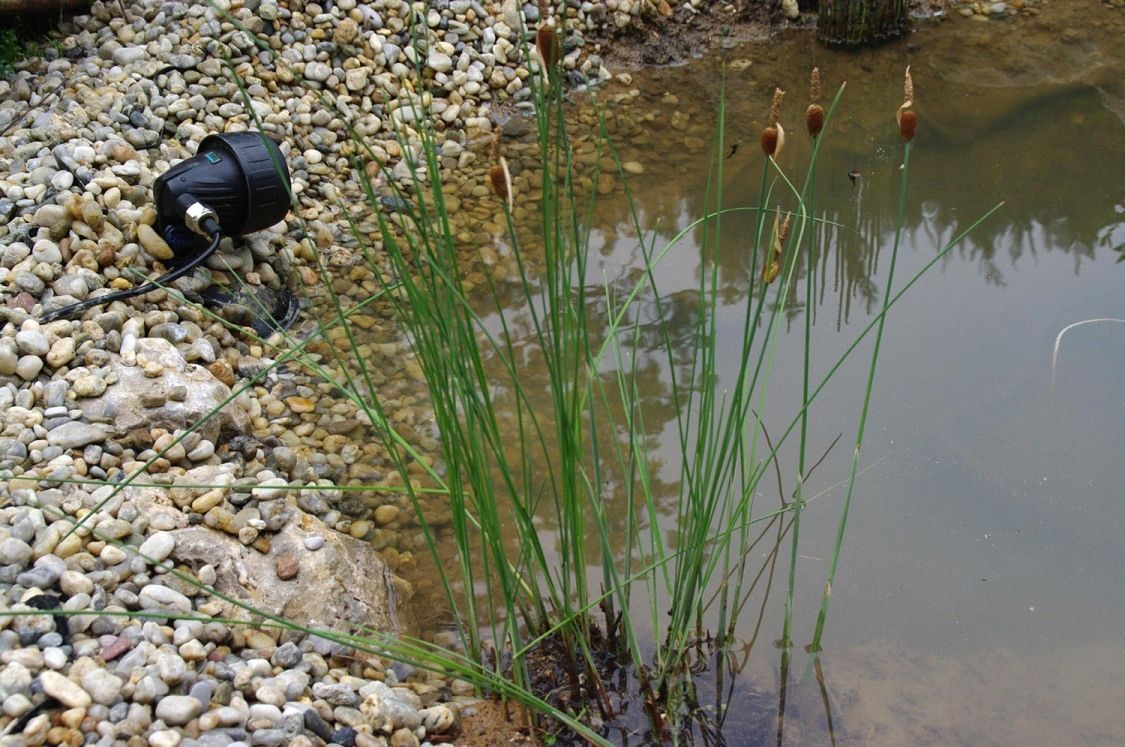 Wasserdichter Strahler am Rand des Teiches.