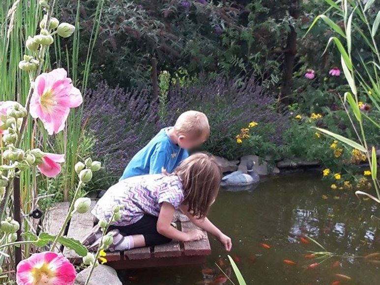 Kinder füttern Goldfische vom Steg aus.