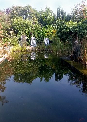 Der Schwimmteich: eine Freude für die Familie!