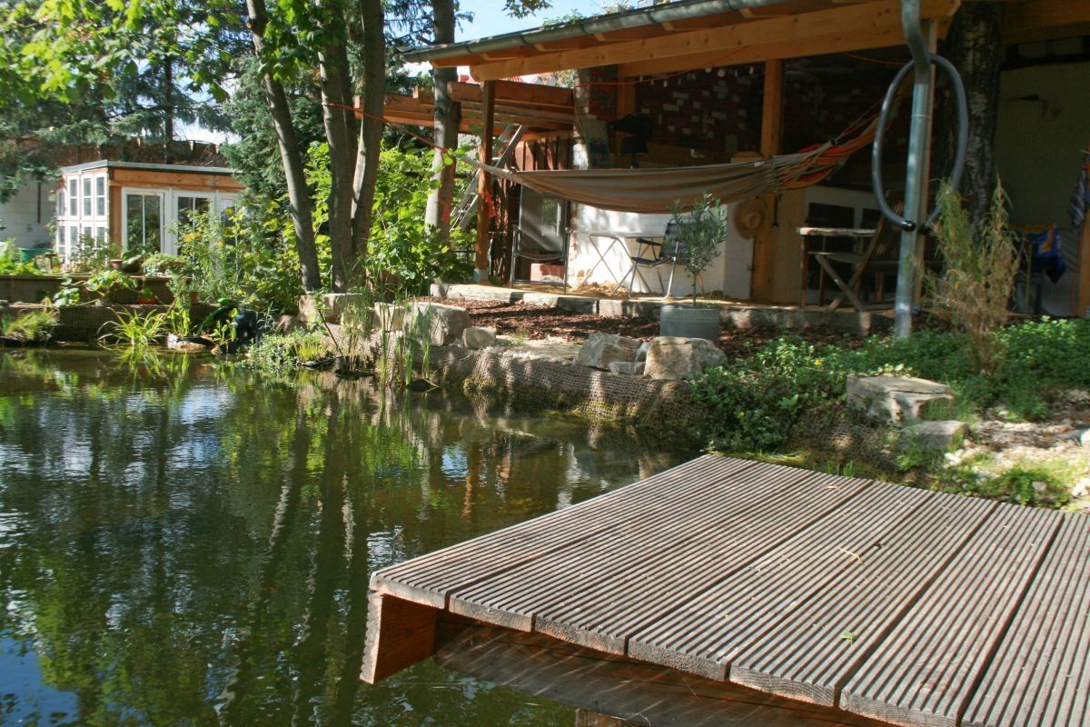 Baden, Bienen, Bar: Ein echter Allround-Teich!
