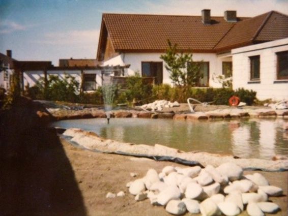 Teich im Garten