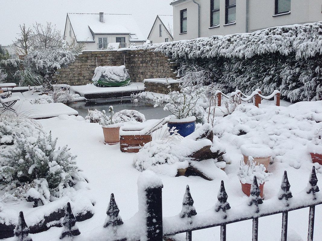Garten im Winter mit Schneedecke