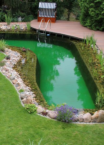 Schwimmteich der Extraklasse