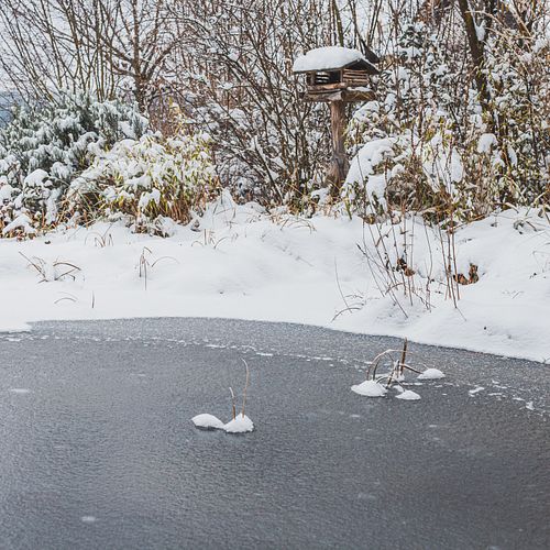 Teichpflege im Winter: Das ist nötig! 