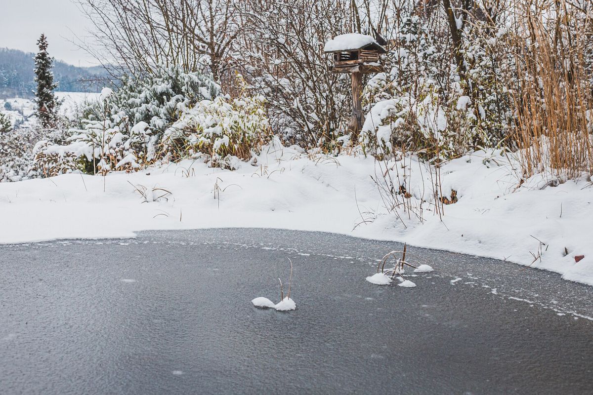 Gartenteich im Winter mit Eis und Schnee