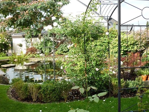 Garten mit Teich