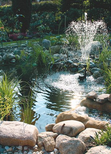 Teichschalen – die clevere Alternative zum Folienteich