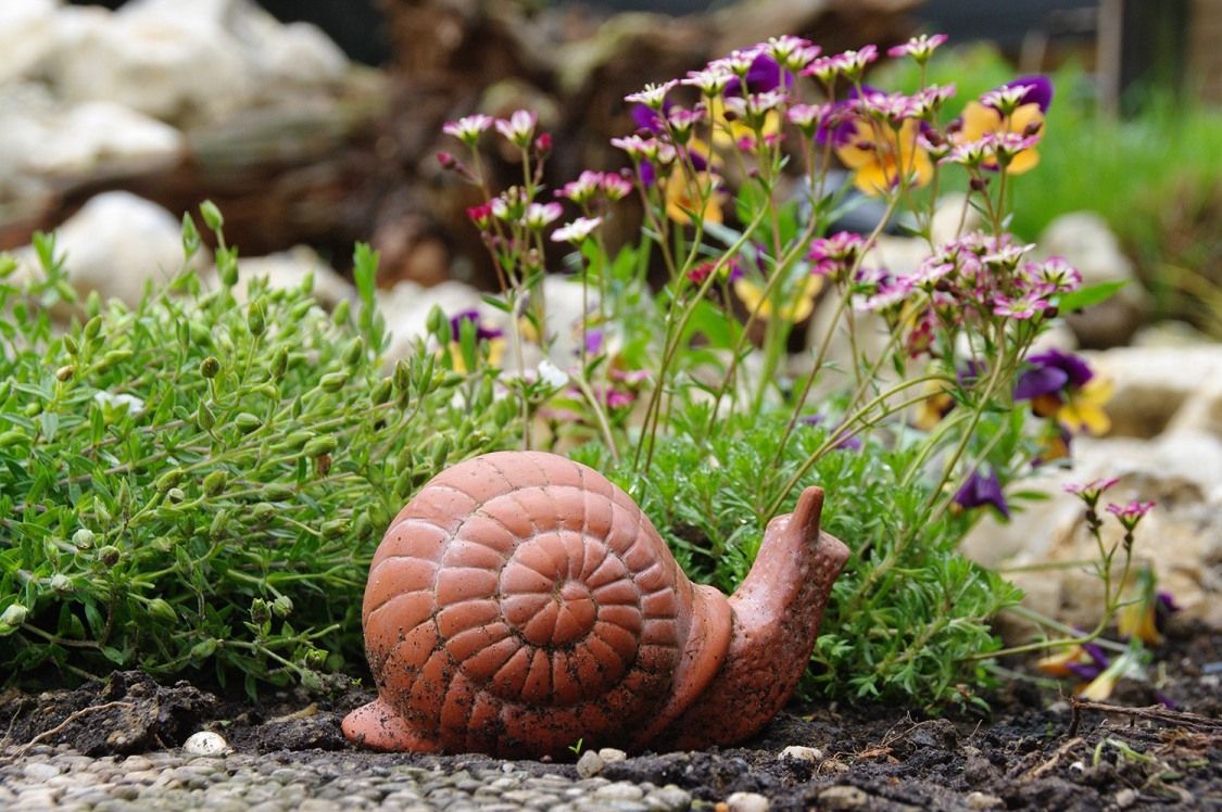 Schnecke aus Ton vor bunten Blumen