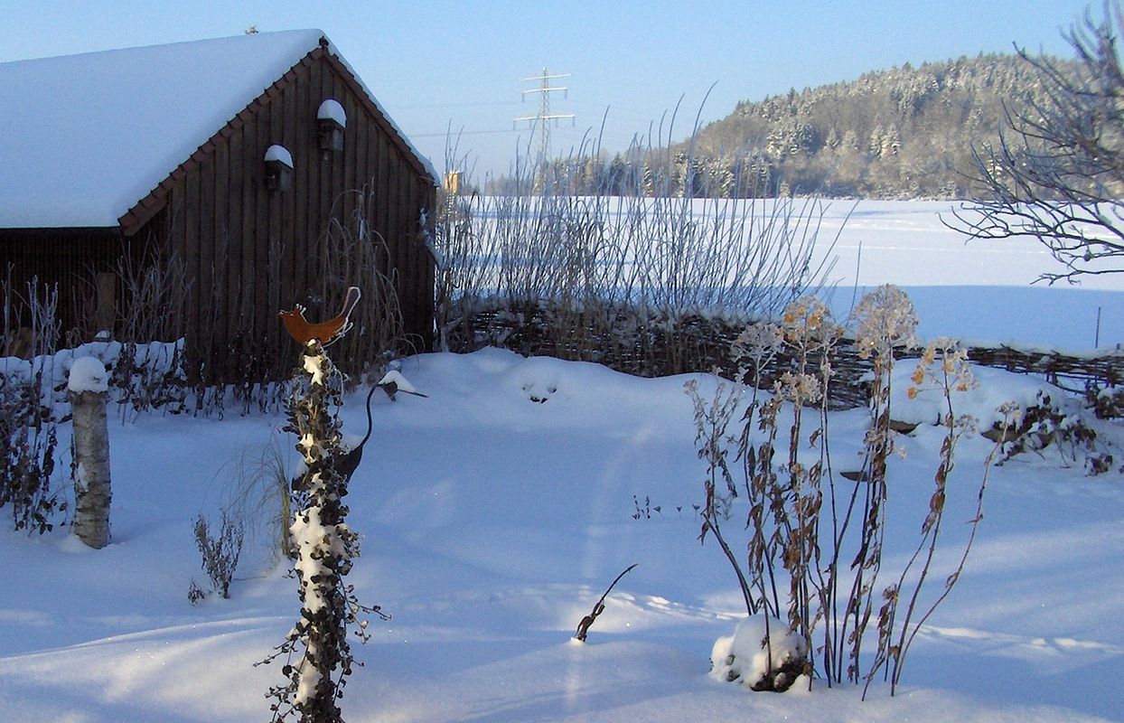 Teich im Winter