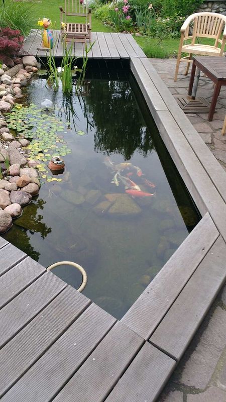 Schöner Teich