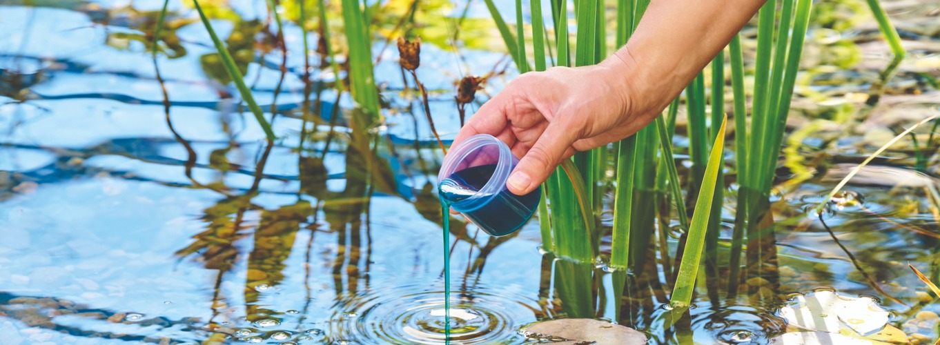 Helfer zur Teichreinigung