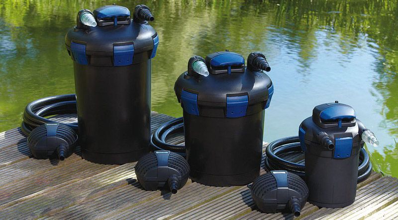 Sauerstoff im Teich