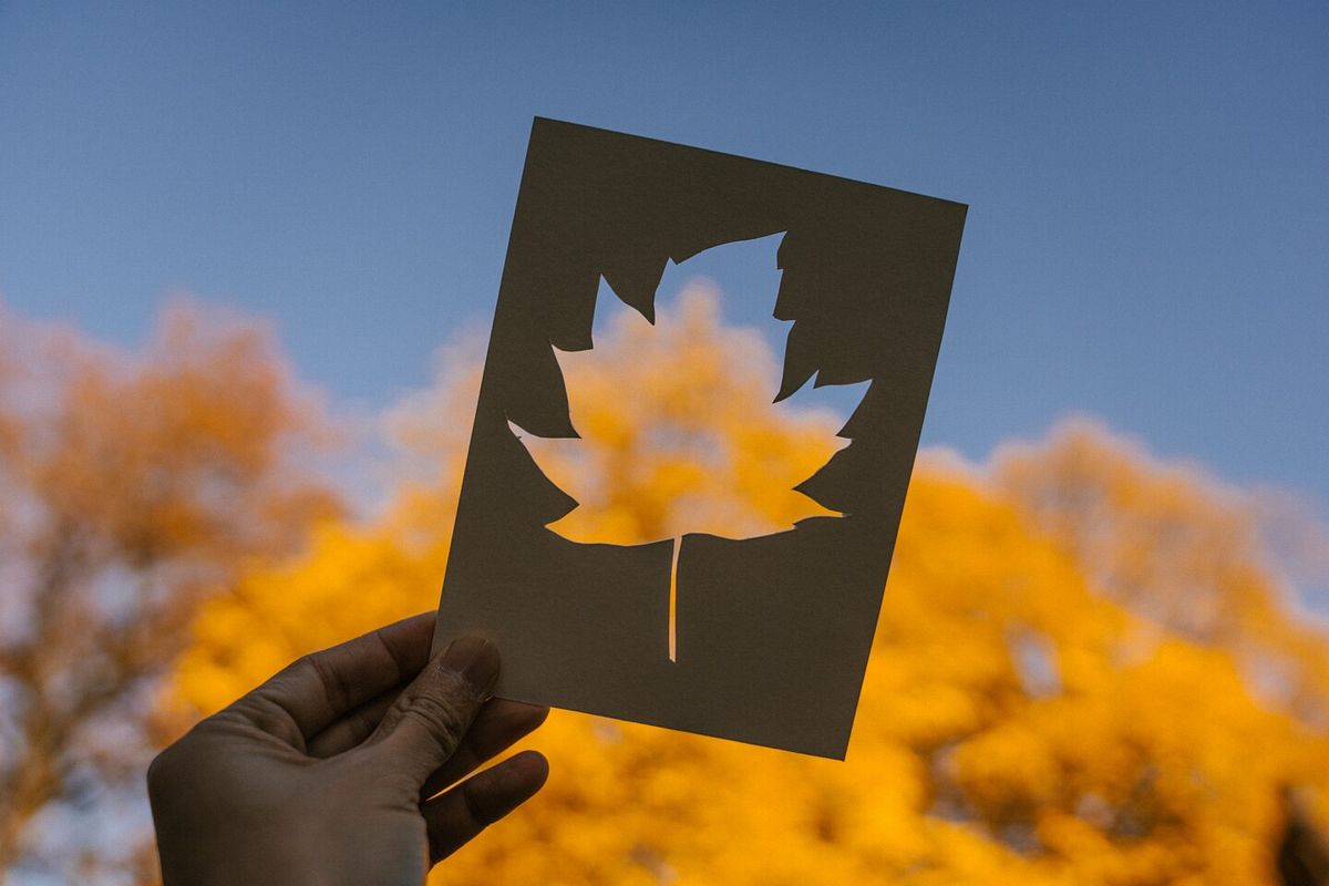 Ausgeschnittenes Blatt