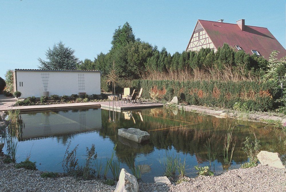 Schwimmteich mit Randzone