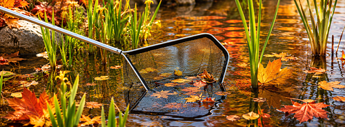 Teichhelfer für den Herbst
