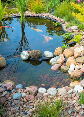 Klares Teichwasser – Wie wie bekomme ich meinen Teich sauber? Was hilft wirklich?
