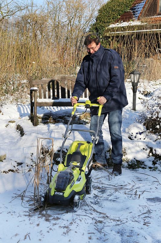 Mit dem Rasenmäher über den gefrorenen Teich fahren und die Rohrkolben stutzen. 