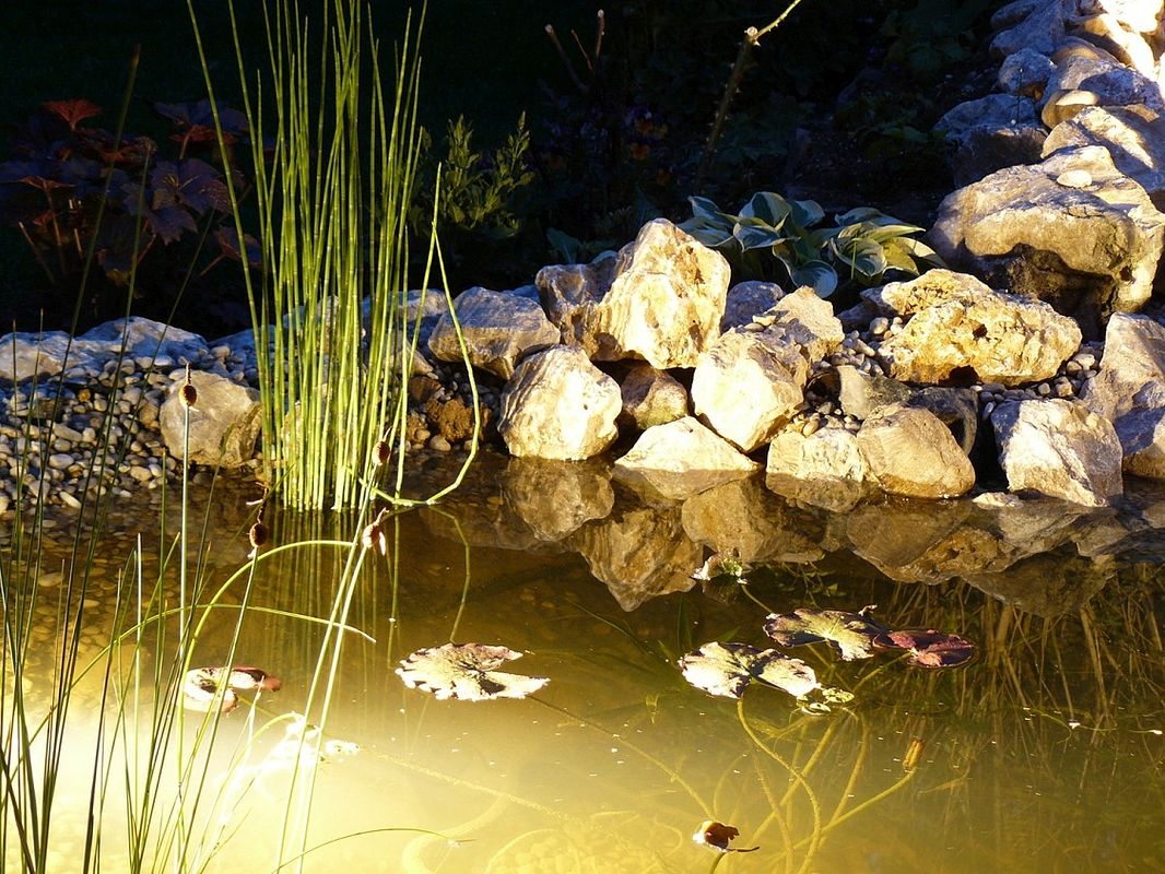 Ober- und Unterwasser beleuchteter Teich