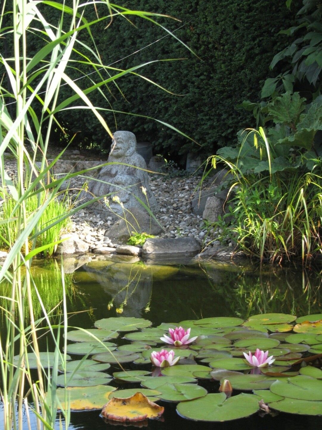 Teich mit Seerosen und Buddastatue