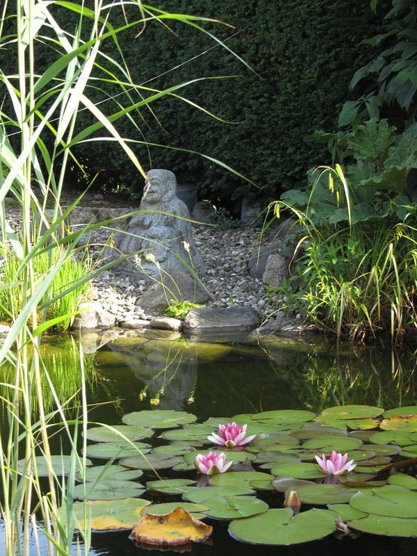 Teich mit Seerosen und Buddastatue