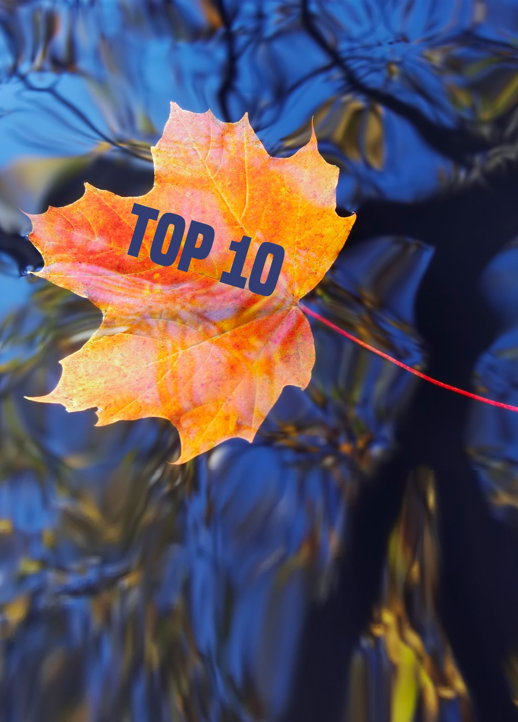 Top 10 Herbstprodukte von Oase Teichbau