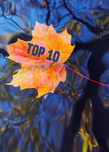 Top 10 Herbstprodukte von Oase Teichbau