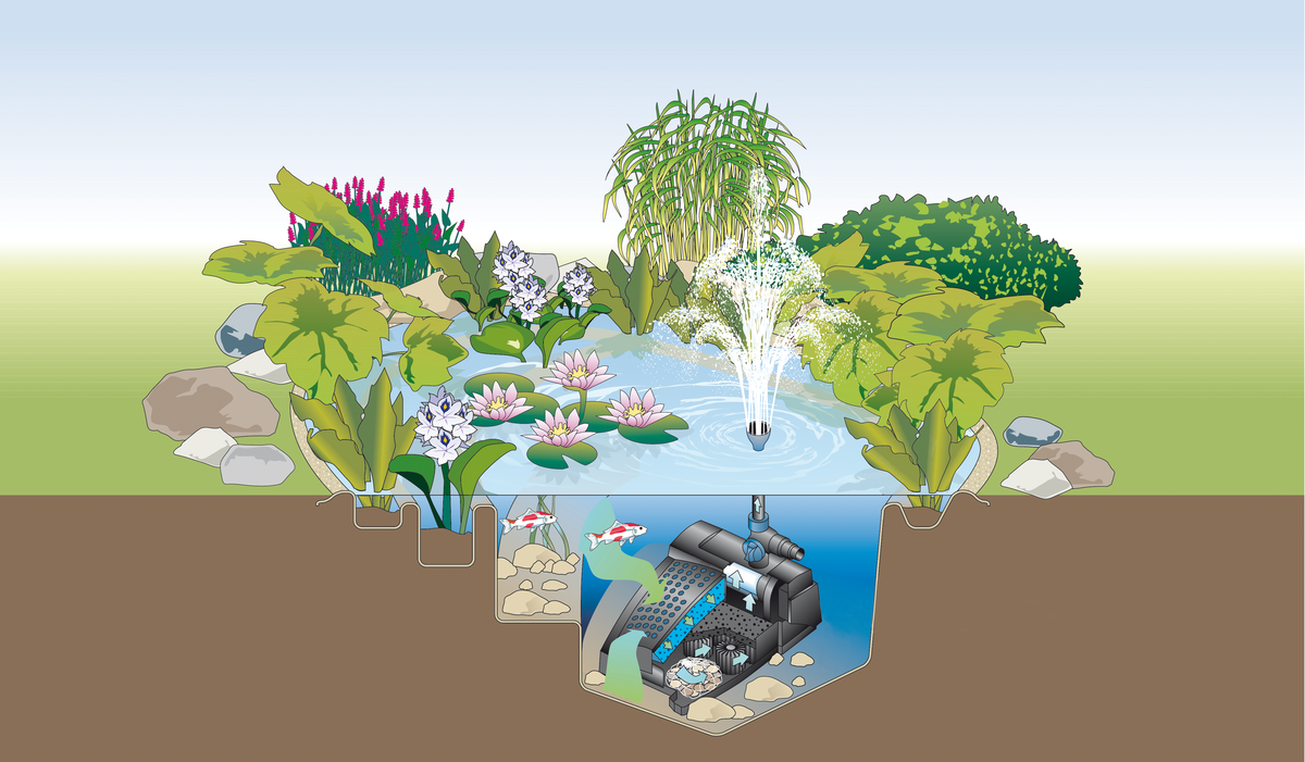 Schemenhafte Zeichnung der Funktionsweise eines UVC-Vorklärgerätes im Teich.