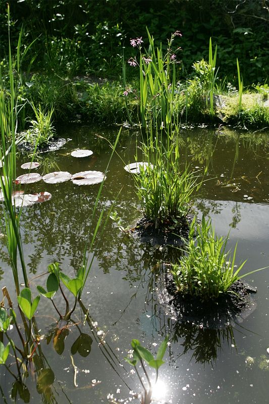 Der Gartenteich mit seinen zwei bewachsenen Inseln gleich einem natürlichen See.