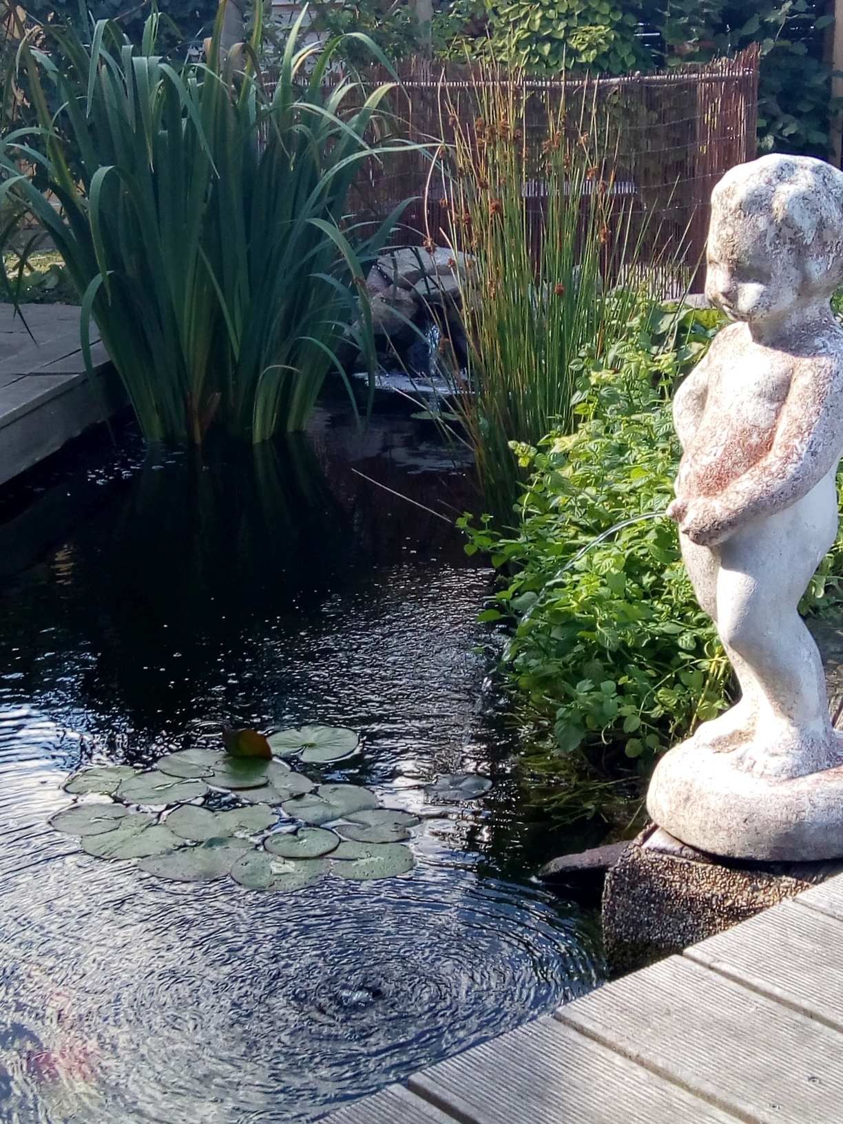 Papa baut einen Teich und alle helfen mit!