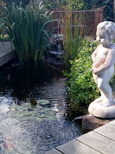 Papa baut einen Teich und alle helfen mit!