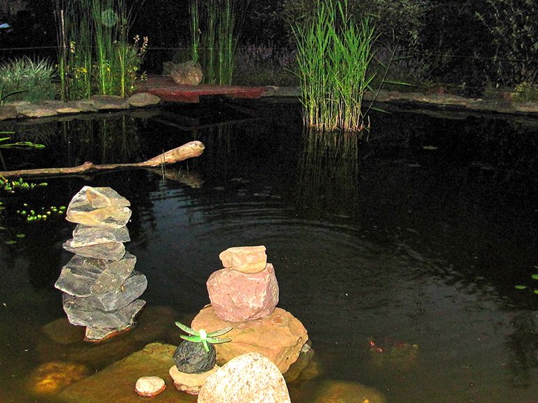 Der Gartenteich ist auch bei Nacht ein Blickfang.