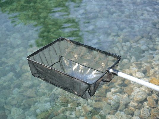 Unerlässlich für die Teichpflege: der Kescher