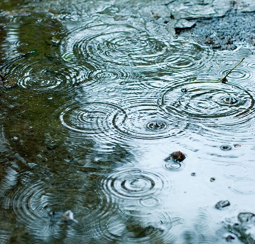 Regenwasser für den Gartenteich – ja oder nein?
