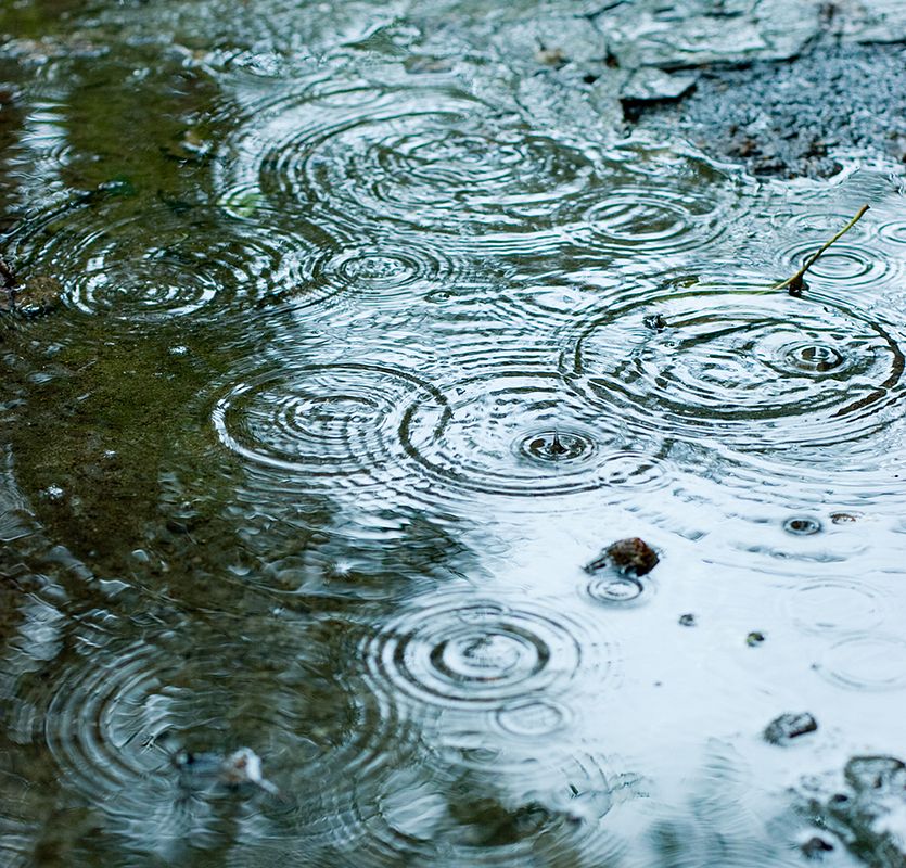 Ins Wasser tropfende Regentropfen bilden Kreise auf der Teichoberfläche