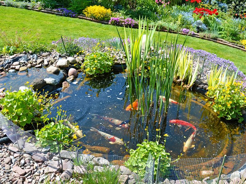 Unser Familien-Gartenteich-Projekt