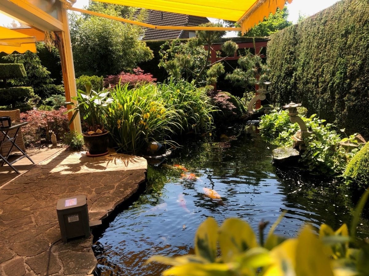 Schön in den Garten integrierter Koiteich