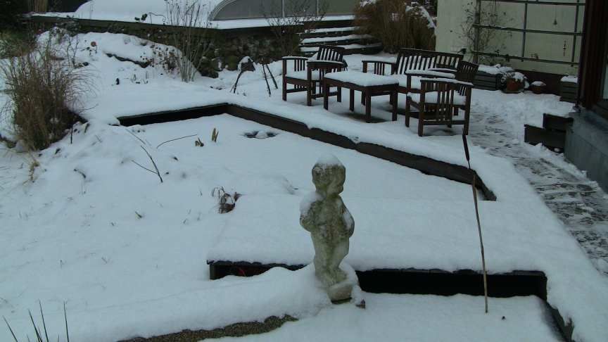 Winterteich