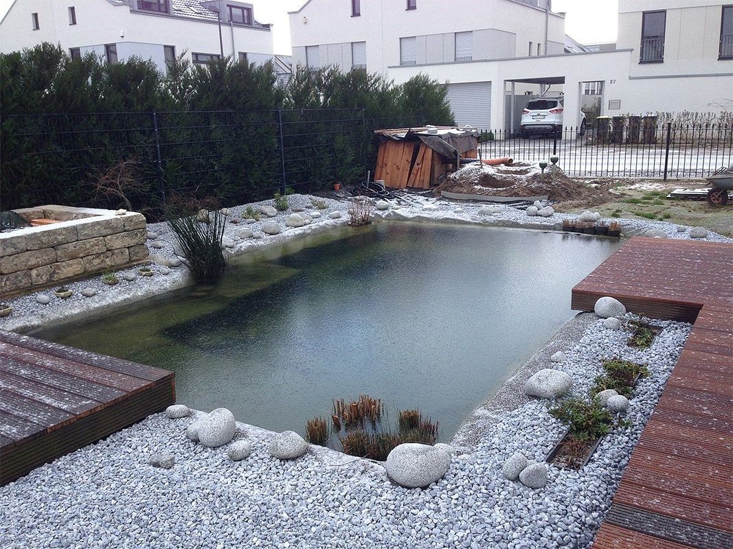 Teich im Winter