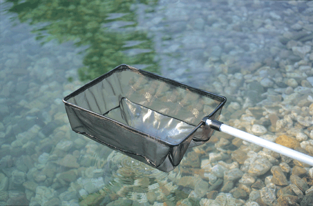Klares, sauerstoffreiches Wasser braucht Teichpflege