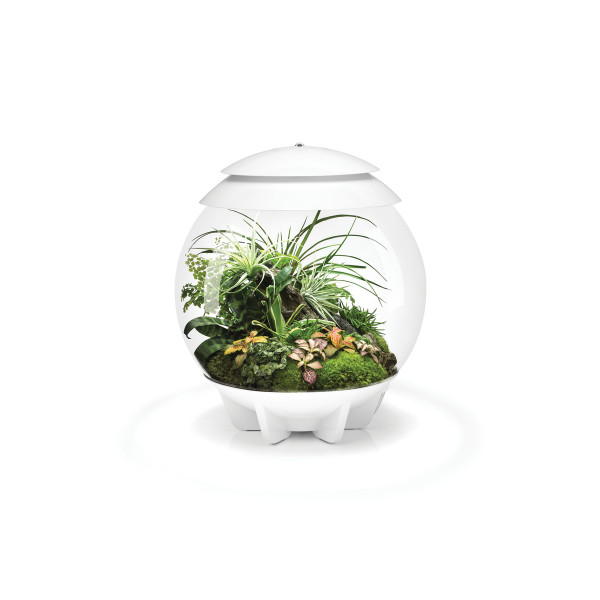 BiOrb Terrarium AIR 30